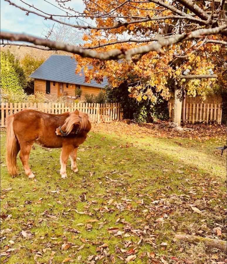 Cottage Normand Avec Sa Grande Piscine Chauffee Toute L Annee Sur Parc Arbore Et Clos En Plein Coeur De La Campagne Adapte Aux Kids Et Dog Friendly Saint-Antonin-de-Sommaire المظهر الخارجي الصورة