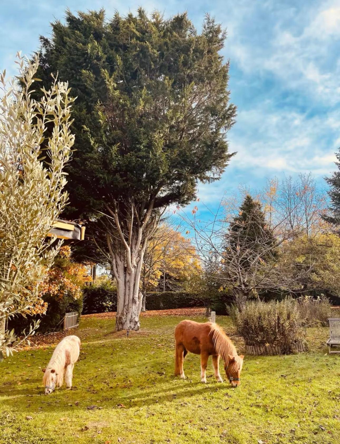 Cottage Normand Avec Sa Grande Piscine Chauffee Toute L Annee Sur Parc Arbore Et Clos En Plein Coeur De La Campagne Adapte Aux Kids Et Dog Friendly Saint-Antonin-de-Sommaire المظهر الخارجي الصورة