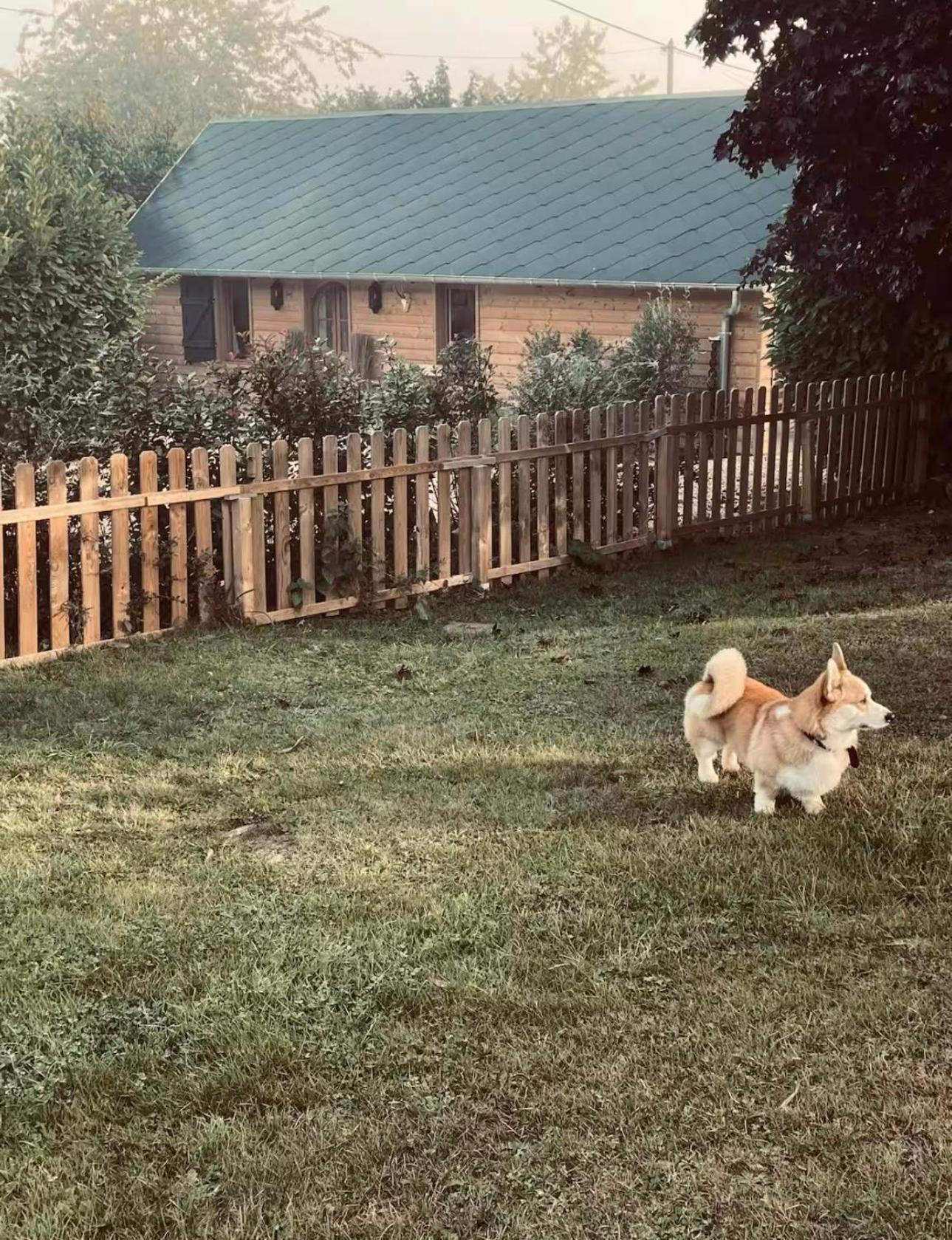 Cottage Normand Avec Sa Grande Piscine Chauffee Toute L Annee Sur Parc Arbore Et Clos En Plein Coeur De La Campagne Adapte Aux Kids Et Dog Friendly Saint-Antonin-de-Sommaire المظهر الخارجي الصورة